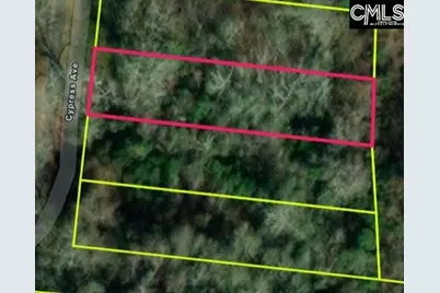 378 Cypress Avenue, Denmark, SC 29042 - Photo 1