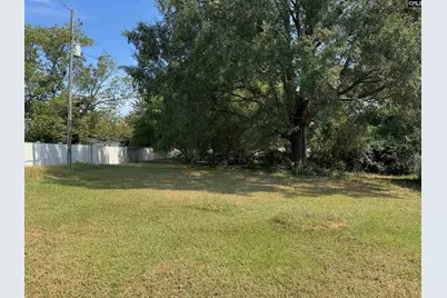 303 Nell Street, Batesburg, SC 29006 - Photo 24