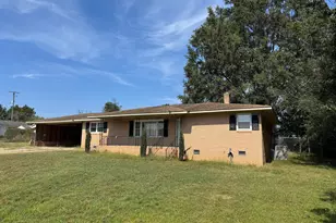 303 Nell St, Batesburg, SC 29006 - Photo 2