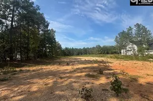 1615 Loner Rd, Blythewood, SC 29016 - Photo 1