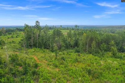 0000 Penner Road 8 #8, Jenkinsville, SC 29065 - Photo 40