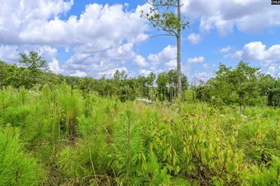 0000 Penner Road 8 #8, Jenkinsville, SC 29065 - Photo 26