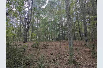 1236 Newberry Road, Winnsboro, SC 29180 - Photo 20