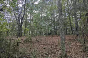 1236 Newberry Rd, Winnsboro, SC 29180 - Photo 20