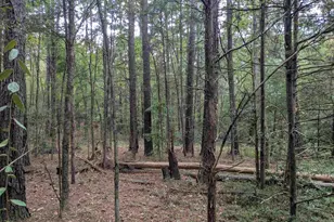1236 Newberry Rd, Winnsboro, SC 29180 - Photo 22