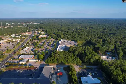 1013 Lykes Lane, Irmo, SC 29063 - Photo 8