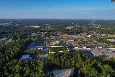 1013 Lykes Lane, Irmo, SC 29063 - Photo 6