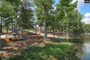 3006 Chilmark Dr, Chapin, SC 29036 - Photo 44