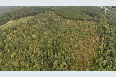 1029 June Berry Road, Camden, SC 29020 - Photo 4