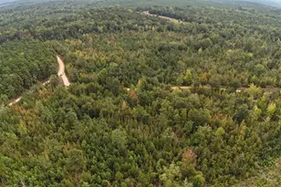 1029 June Berry Rd, Camden, SC 29020 - Photo 1