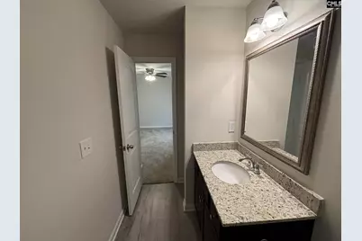 258 Gum Swamp Trail, West Columbia, SC 29169 - Photo 18