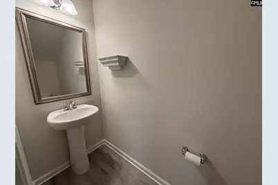 258 Gum Swamp Trail, West Columbia, SC 29169 - Photo 10