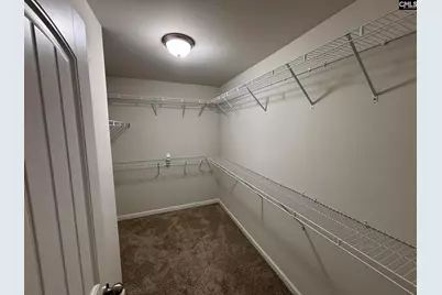 258 Gum Swamp Trail, West Columbia, SC 29169 - Photo 22