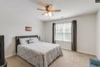 343 Amalfi Drive, Chapin, SC 29036 - Photo 20