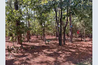 408 Indigo Ridge Drive, Columbia, SC 29229 - Photo 32