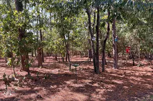 408 Indigo Ridge Dr, Columbia, SC 29229 - Photo 32