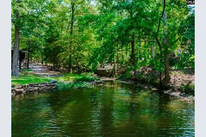 102 Hideaway Cove Court, Gilbert, SC 29054 - Photo 12