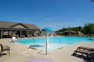 515 Malachite Ln, Chapin, SC 29036 - Photo 58