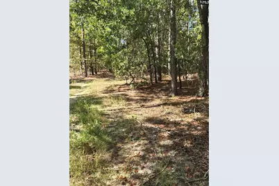 1646 Baughman Road, Columbia, SC 29045 - Photo 4