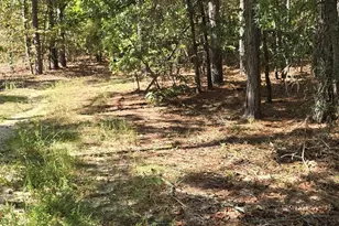 1646 Baughman Rd, Columbia, SC 29045 - Photo 4