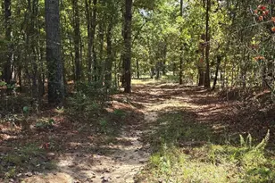 1646 Baughman Rd, Columbia, SC 29045 - Photo 2