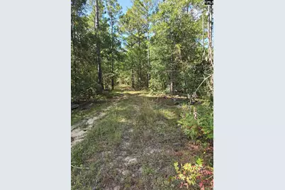 1646 Baughman Road, Columbia, SC 29045 - Photo 6