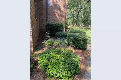 200 Leaning Pine Trail, Lexington, SC 29072 - Photo 10