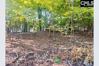 Lands End Lane #212, Prosperity, SC 29127 - Photo 6