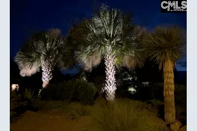 404 Jasmine Key Lane, Chapin, SC 29036 - Photo 54