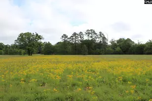 2901 Bethune Rd, Bethune, SC 29009 - Photo 34