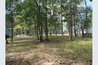 569 Misty Banks Drive, Chapin, SC 29036 - Photo 8