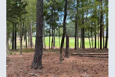 569 Misty Banks Drive, Chapin, SC 29036 - Photo 4