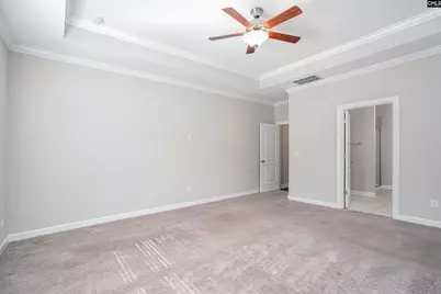 714 Long Iron Lane, Blythewood, SC 29016 - Photo 22