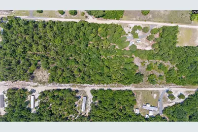 Tbd Lonnie Dowd. Drive Lot 4 #4, Gaston, SC 29053 - Photo 2