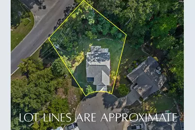 96 Dogwood Cottage Court, Blythewood, SC 29016 - Photo 4