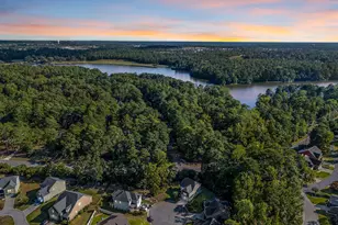 96 Dogwood Cottage Ct, Blythewood, SC 29016 - Photo 40