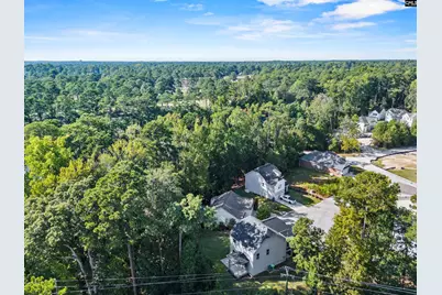 96 Dogwood Cottage Court, Blythewood, SC 29016 - Photo 38