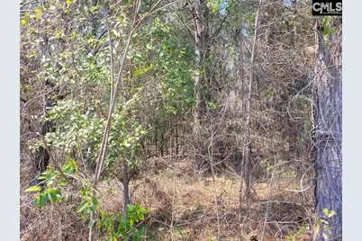 239 House Road, Eastover, SC 29044 - Photo 1