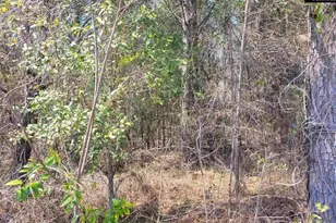 239 House Rd, Eastover, SC 29044 - Photo 1