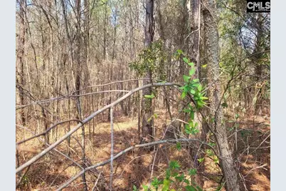 239 House Road, Eastover, SC 29044 - Photo 4