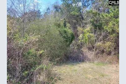 239 House Road, Eastover, SC 29044 - Photo 6