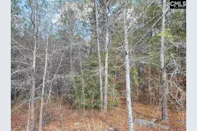 239 House Road, Eastover, SC 29044 - Photo 2