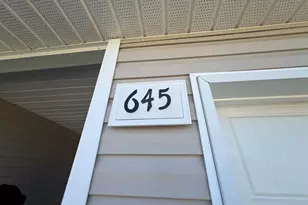 645 Wild Tulip Ct, Gilbert, SC 29054 - Photo 6