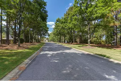 212 Siddington Way, Lexington, SC 29073 - Photo 52