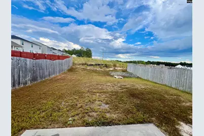 1423 Tanreall Drive, Lexington, SC 29073 - Photo 16