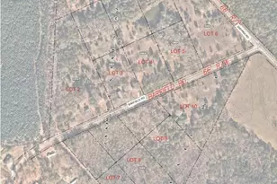 457 Barfield Rd, Elgin, SC 29025 - Photo 1