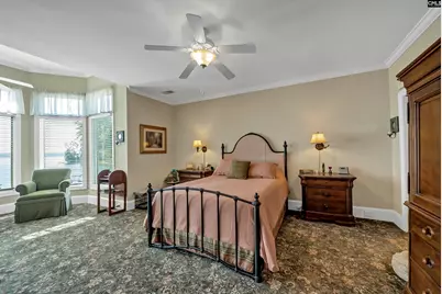 218 Lake Vista Drive, Chapin, SC 29036 - Photo 32