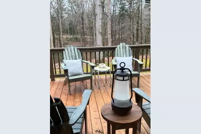 1009 Oakleaf Circle, Blythewood, SC 29016 - Photo 38