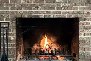 1009 Oak Leaf Cir, Blythewood, SC 29016 - Photo 24