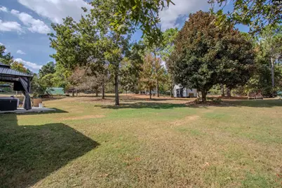 217 Willow Forks Road, Lexington, SC 29073 - Photo 20